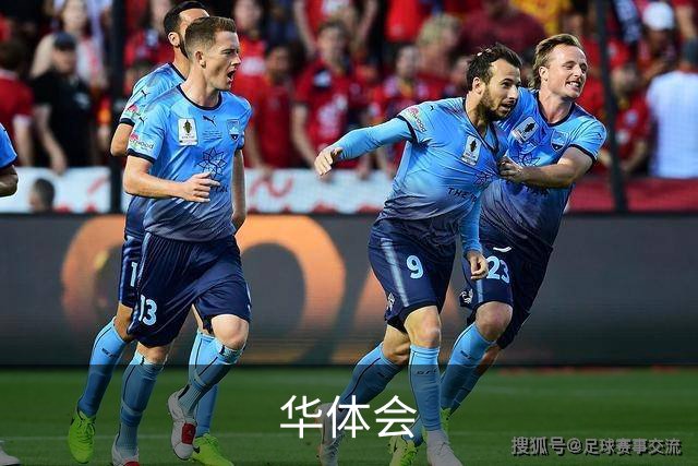 华体会公司简介图片